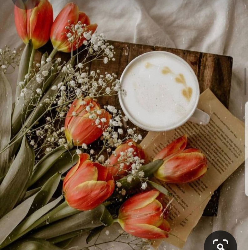 Screenshot_20230421_001217_Pinterest