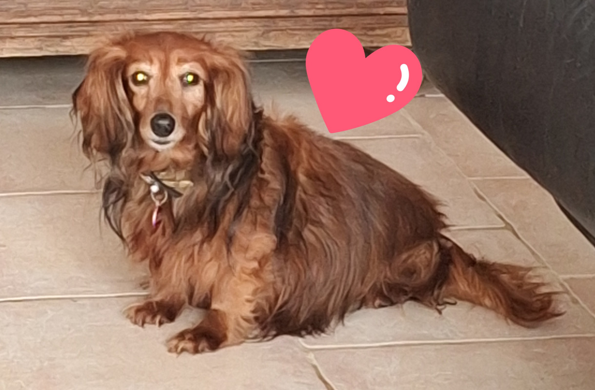 [Image: 20240330-141254.jpg]