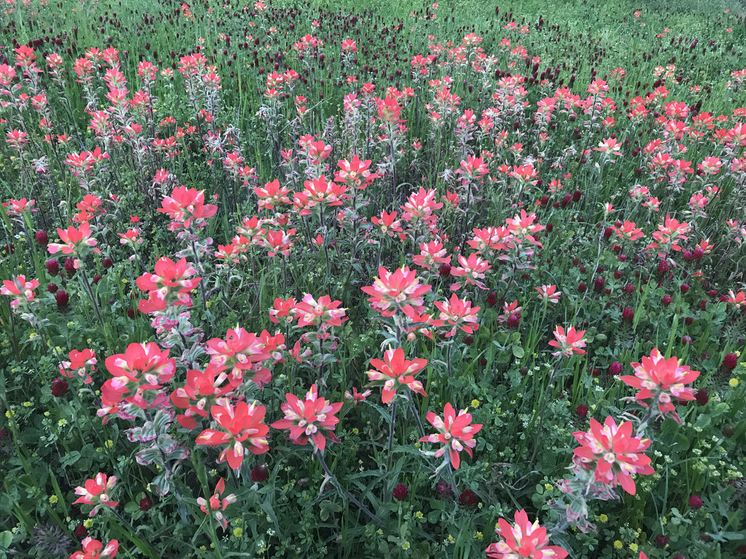 28F9E4A8-D7EC-4618-80DB-D542C1699F93