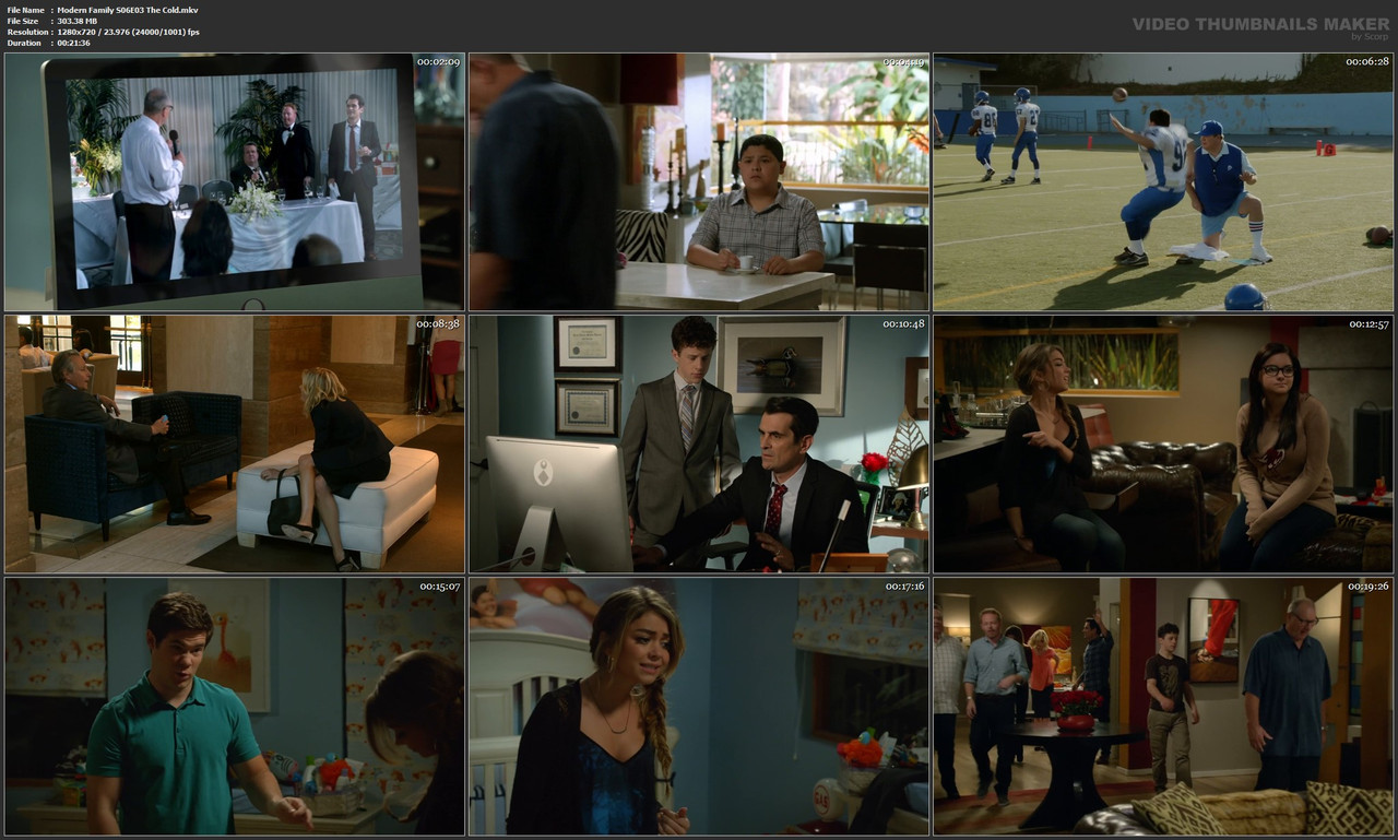 Modern Family S06E03 The Cold.mkv