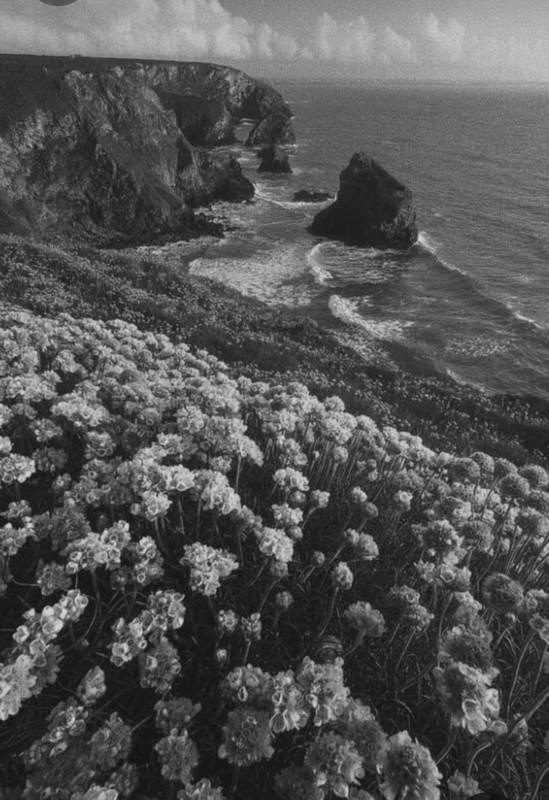 Screenshot_20230401_012506_Pinterest