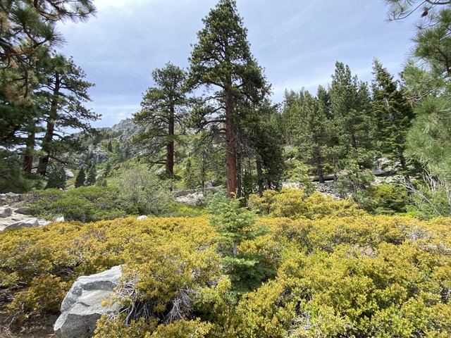[Image: D28-CDAF1-5-F40-46-A8-98-DB-65075-B458-B6-F.jpg]