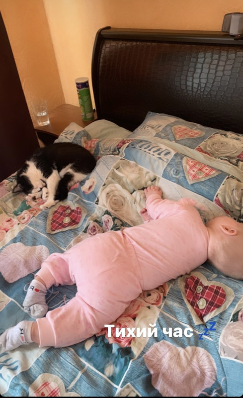 3E179D24-0C6B-448D-8BCD-6F34A119AE2D