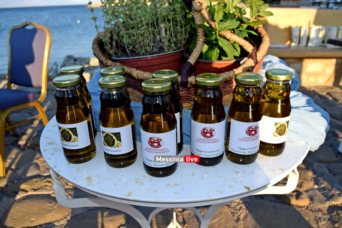 koroni-DSC-0671