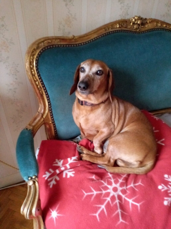 [Image: image000000-215.jpg]