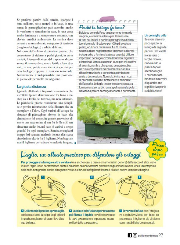 Pol Ver Feb 2024 (6)