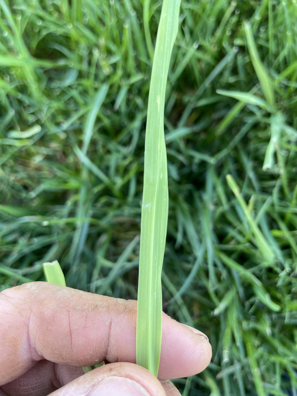 DDF870A9-5F9E-463A-BF1B-23761E963445