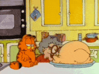 Garfield-Thanksgiving-Special.gif