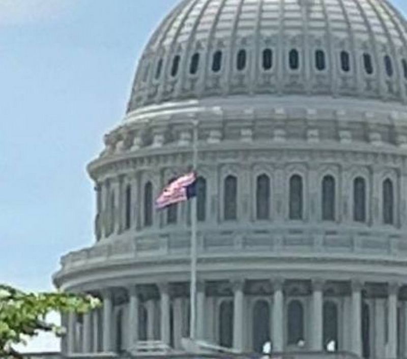 https://i.postimg.cc/pdf9sfrP/photo-2023-05-17-11-05-4422.jpg