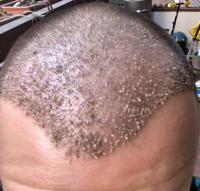 MVIMG_20251008_160140