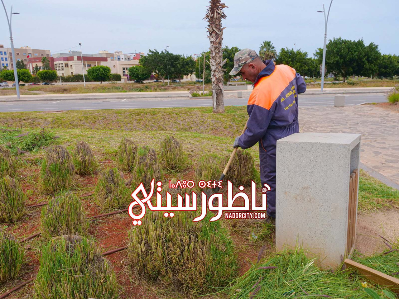 Whats-App-Image-2026-06-05-at-20-05-34-(1)