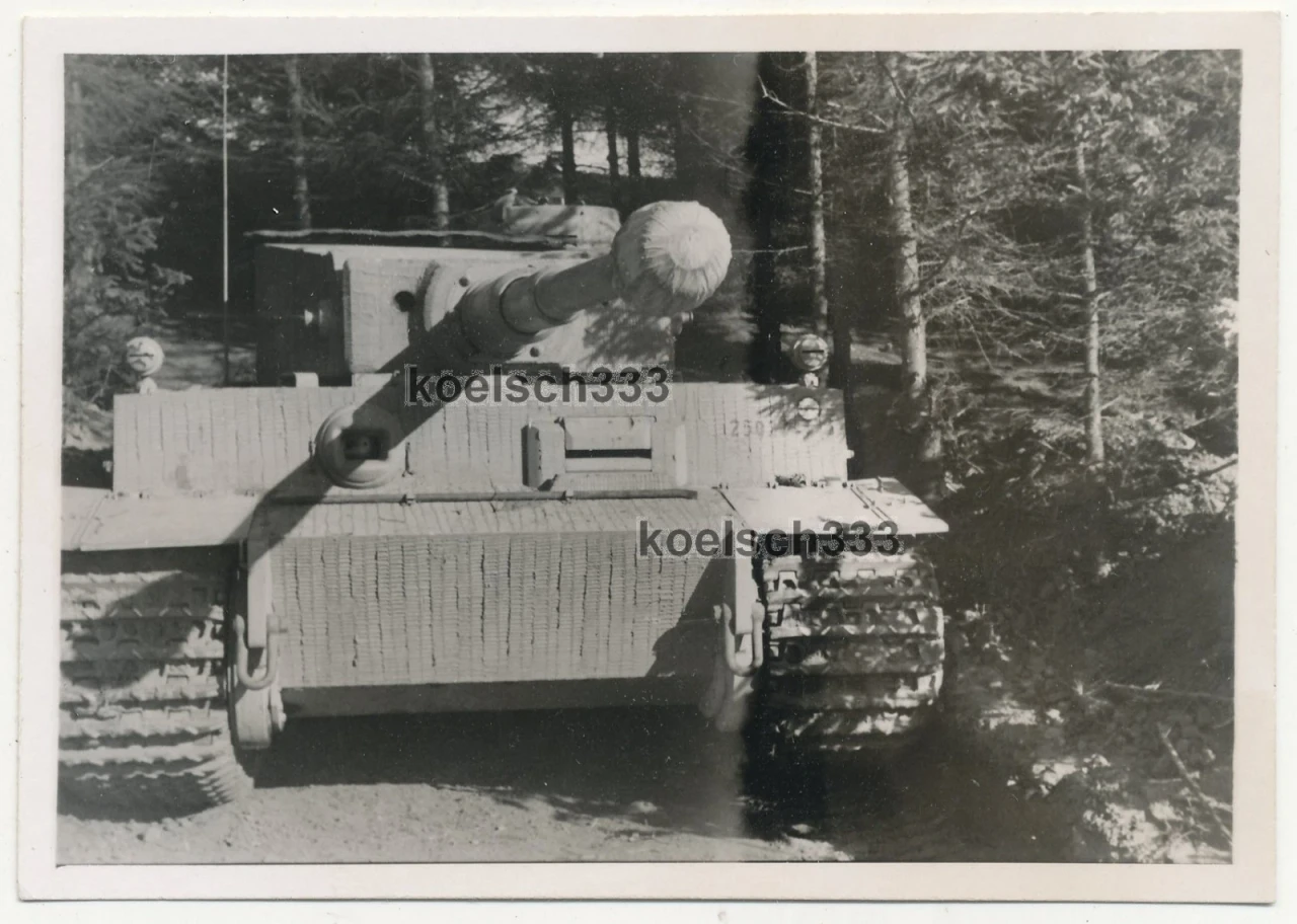 Foto Tiger Panzer VI mit Zimmerit Beschichtung in Bereitstellung in einem Wald