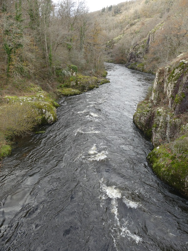 P1090331.jpg