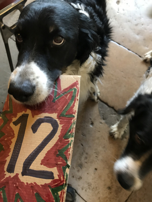 96E5F382-FD2B-4961-9A33-1B0D28898772