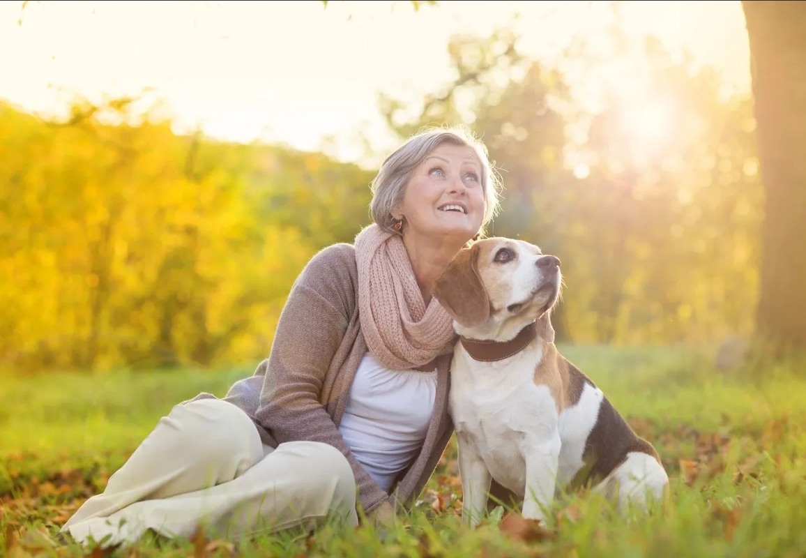 ¿Cuáles son los beneficios de adoptar un perro después de los 50 años?