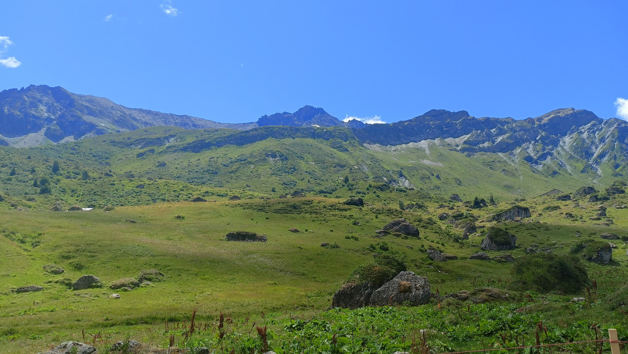 IMG20250717130236 (Large)