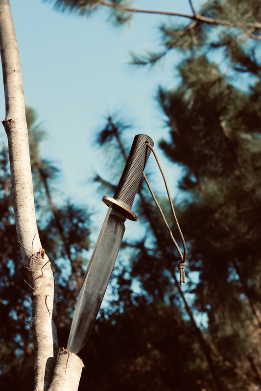 4E081A84-239B-436F-A96A-9443E608EA0B