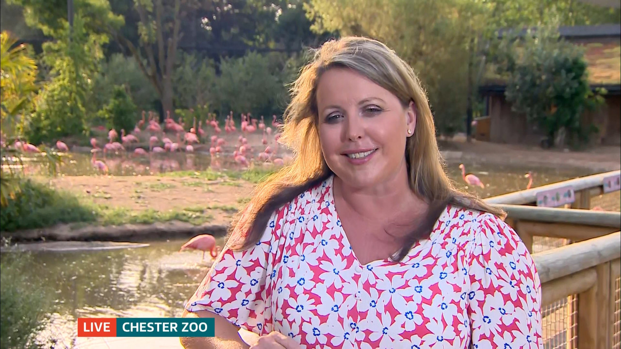 ITV Evening News_20220718_18301930.ts_snapshot_44.25.303