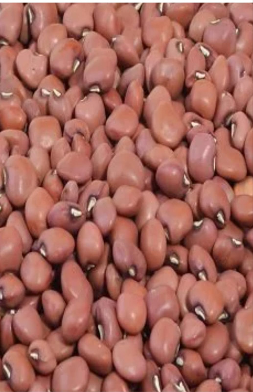 Red kidney beans