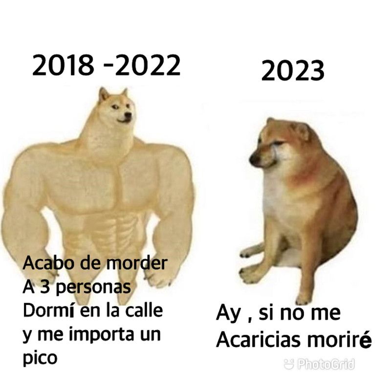 40729657-74-D8-4634-9-E50-8-F7-D34-EE036