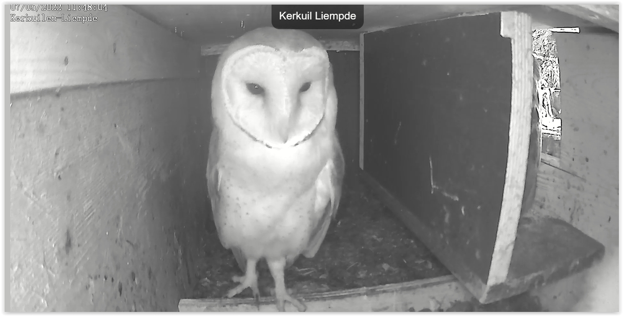 Screen Shot 05-07-22 at 11.48 AM