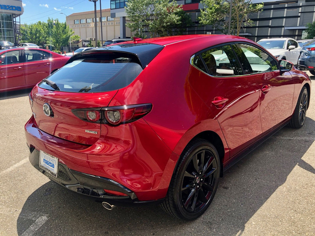 IMG_5581.jpg.66441dab94dd54257aadcb7a9c32ebe1