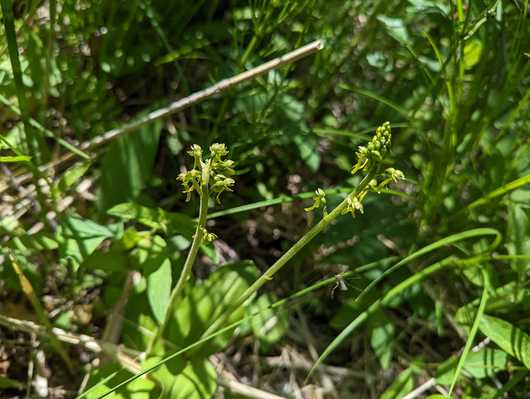 PXL_20230603_112518665