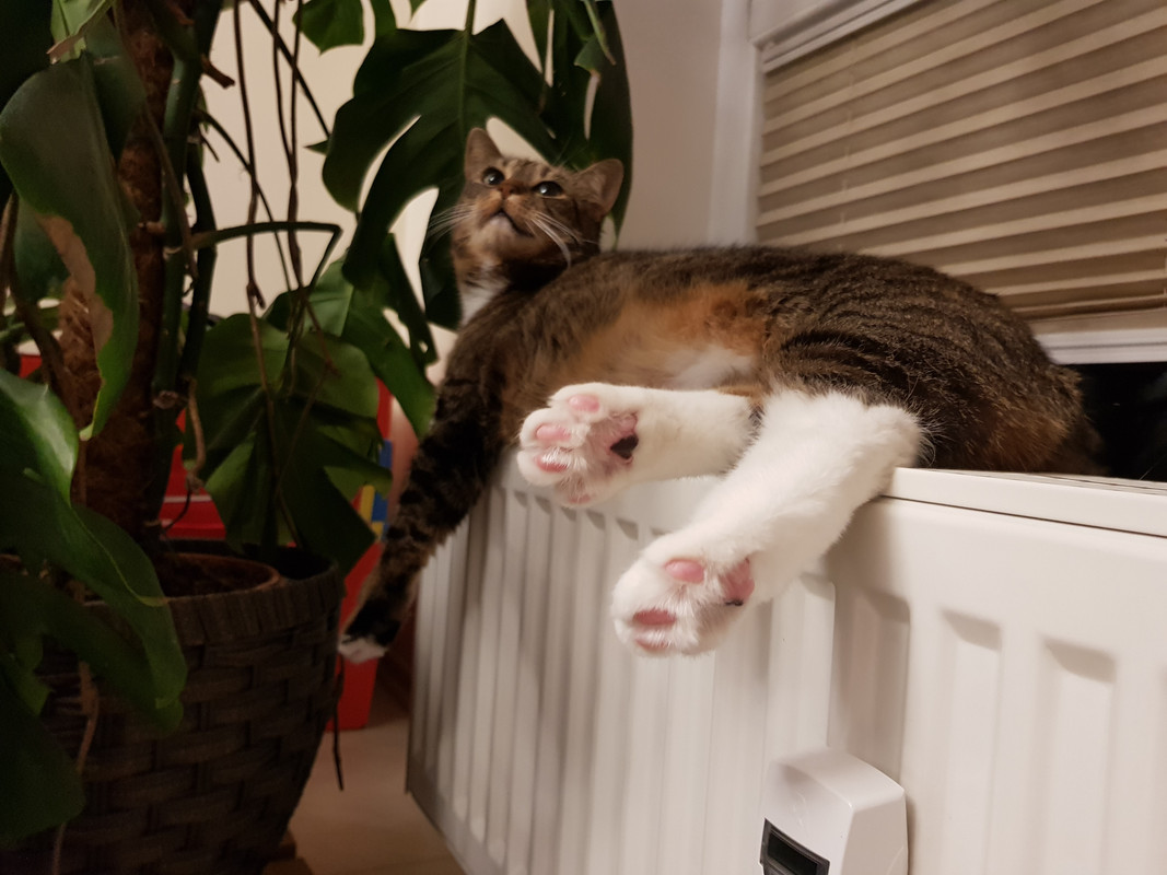 20201210-191057.jpg