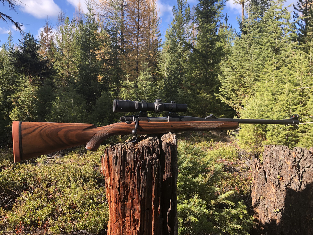 52A9B799 EC7F 42C0 AD89 7BC2626DAB26 1