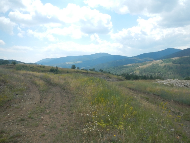 Zlatibor juli 2013 (52)