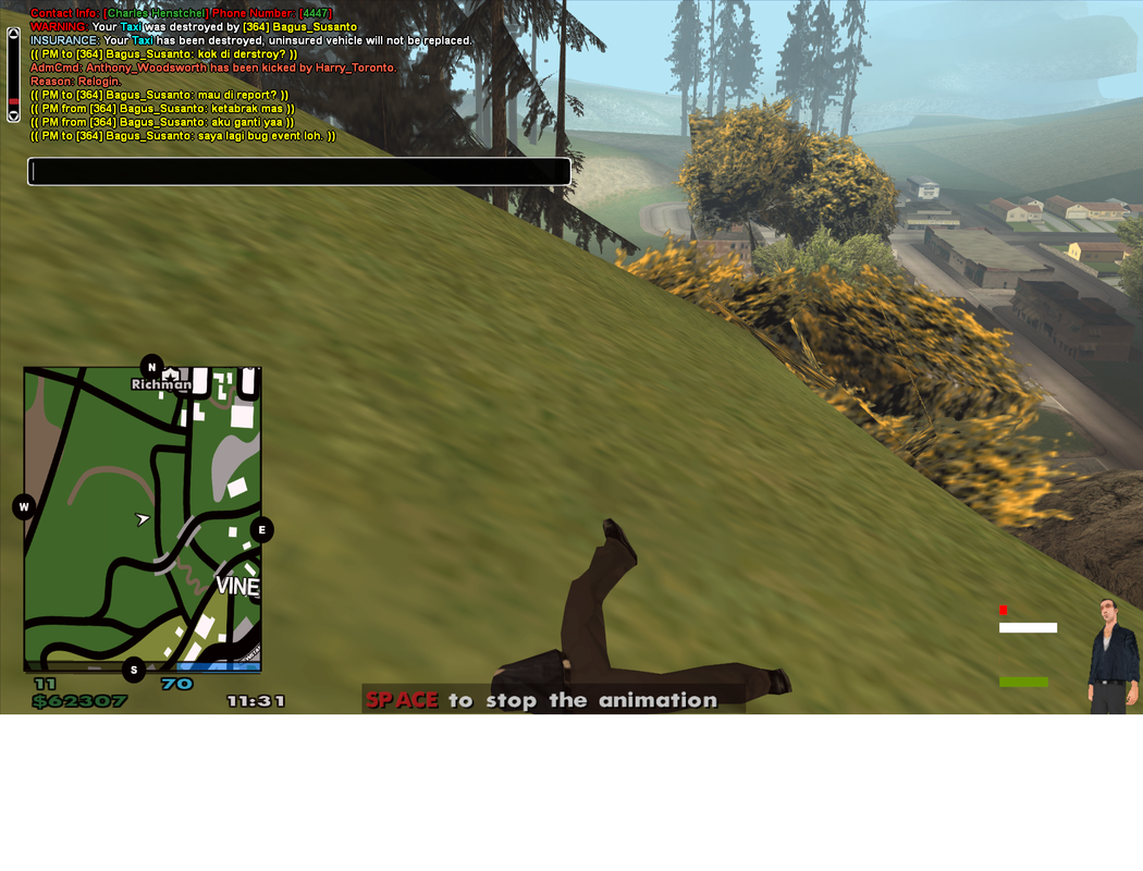 REPORT.png