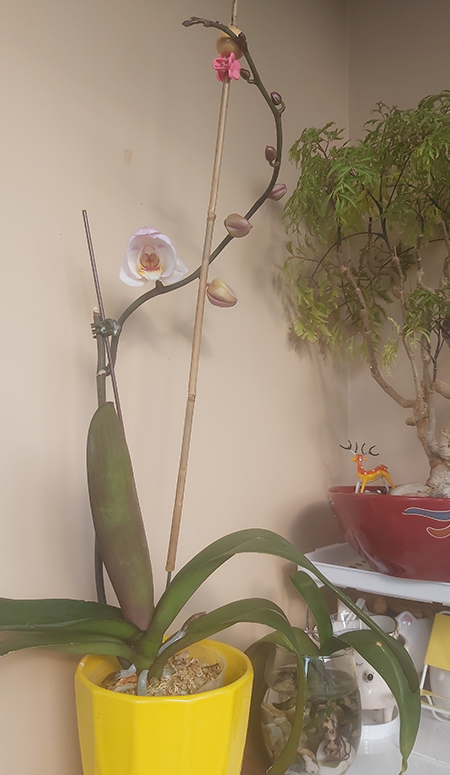 [Image: 20220625-074313.jpg]