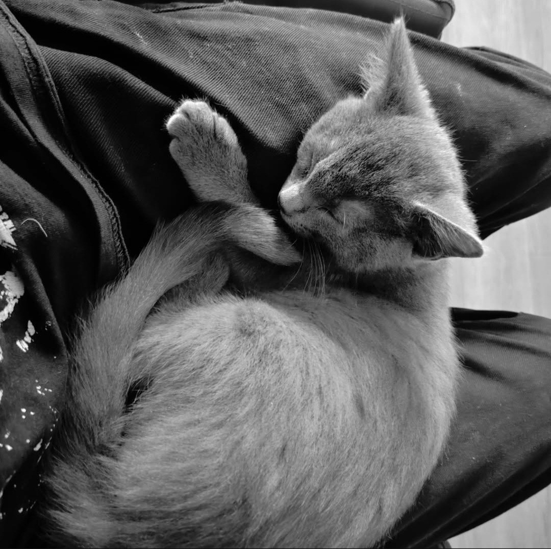 Screenshot 20251208 235041 Instagram