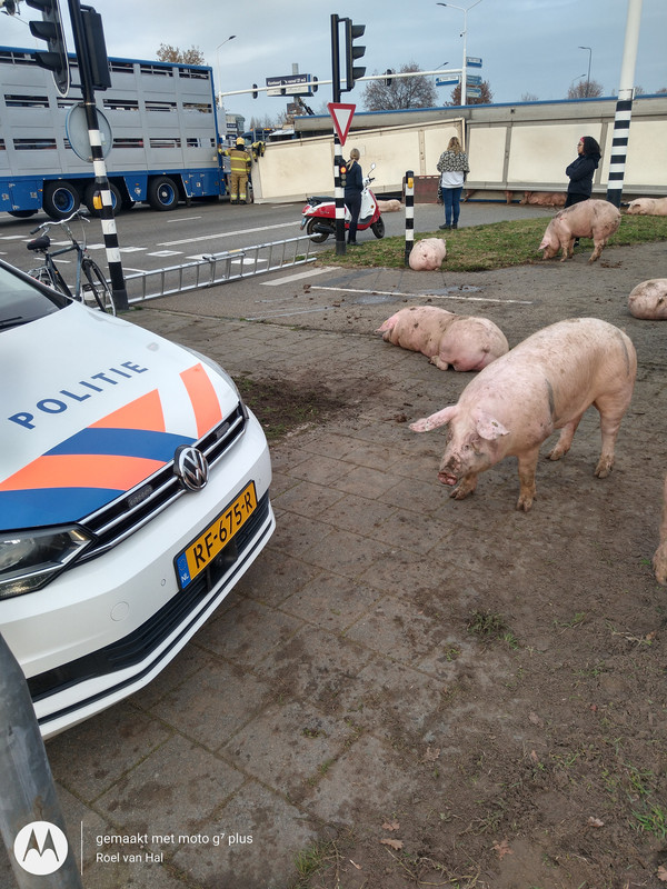 IMG_20201125_144916232_HDR