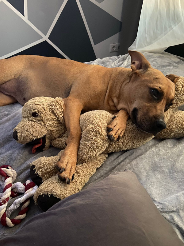 62E3E003-0986-4E1D-97D2-0836CD684867