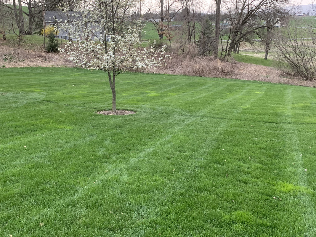 Photo Apr 07, 6 26 11 PM