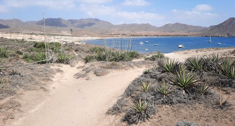Dia 6. Playas del Cabo de Gata: Genoveses - Cabo de Gata y costa Este de Almería (3)