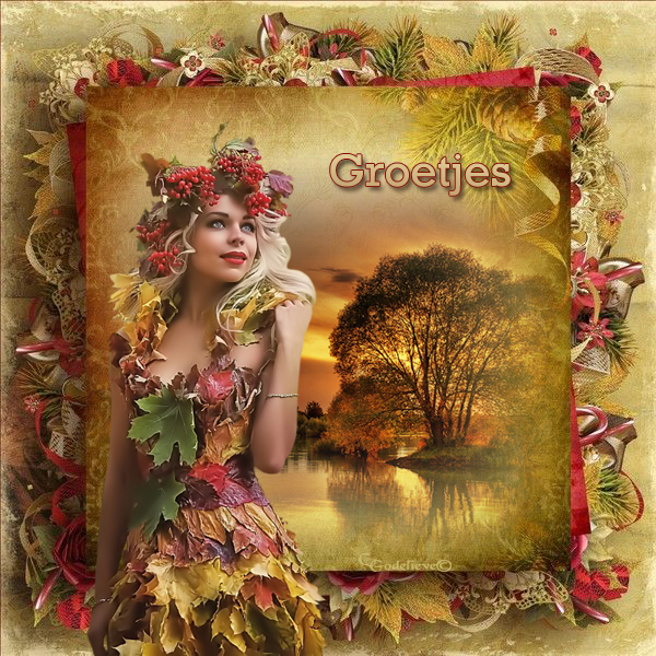 Welkom bij Cyberoma-Godelieve