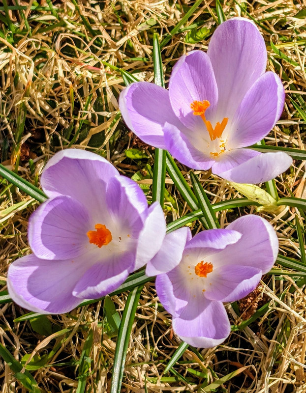 PXL_20240415_190132608.MP