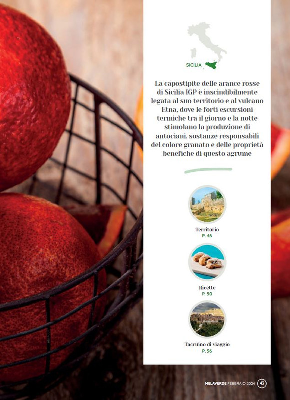 melaverde Feb 2024 (6)