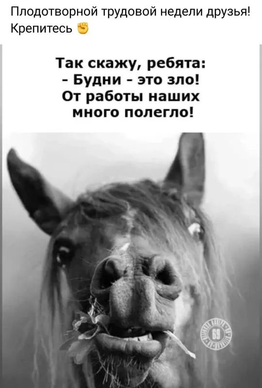 DX2-VHEv-Ej-I.webp