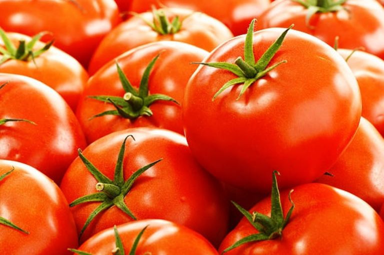 Tip para cosechar tomates más grandes y jugosos