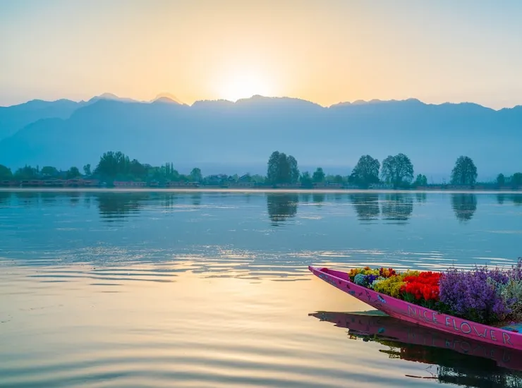 Dawn by the Godavari
