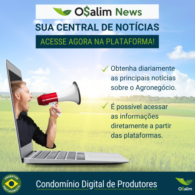 Imagem inserida por URL