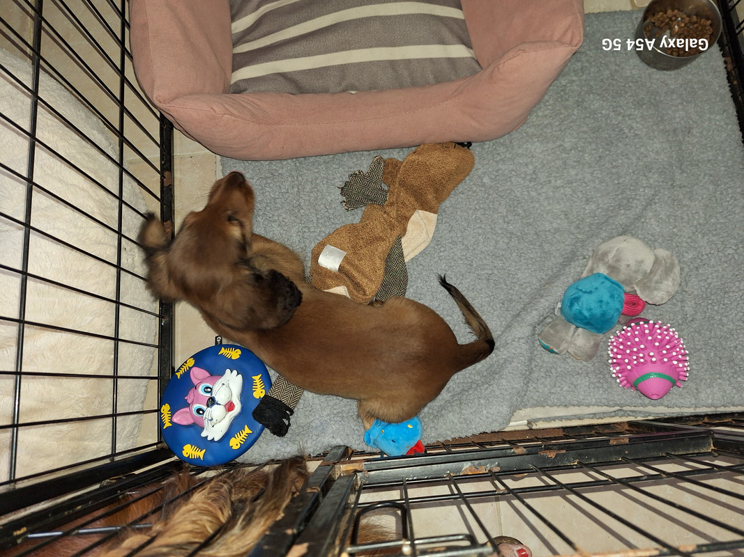 [Image: 20240908-101920.jpg]