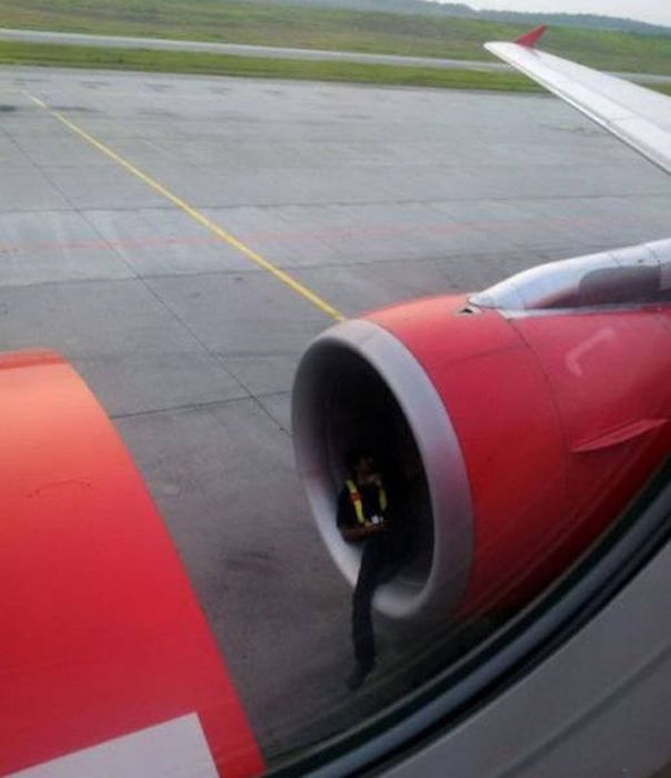 Типичные претенденты на Премию Дарвина