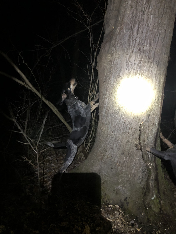 0C24F511-AF0B-44B5-BAAF-1BC0F07382B6