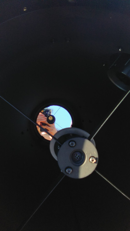 IMG_20240203_155135_431