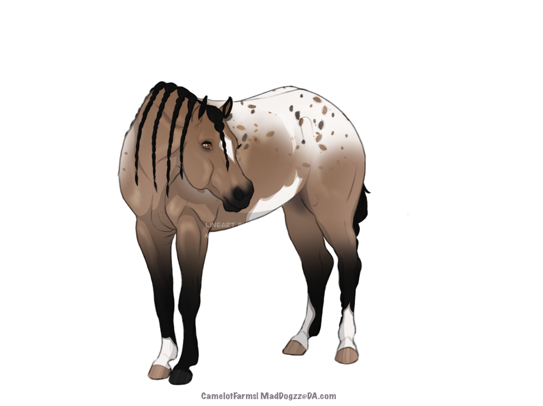 B6CC274D-CEE5-4C27-B70E-BB2D82887215