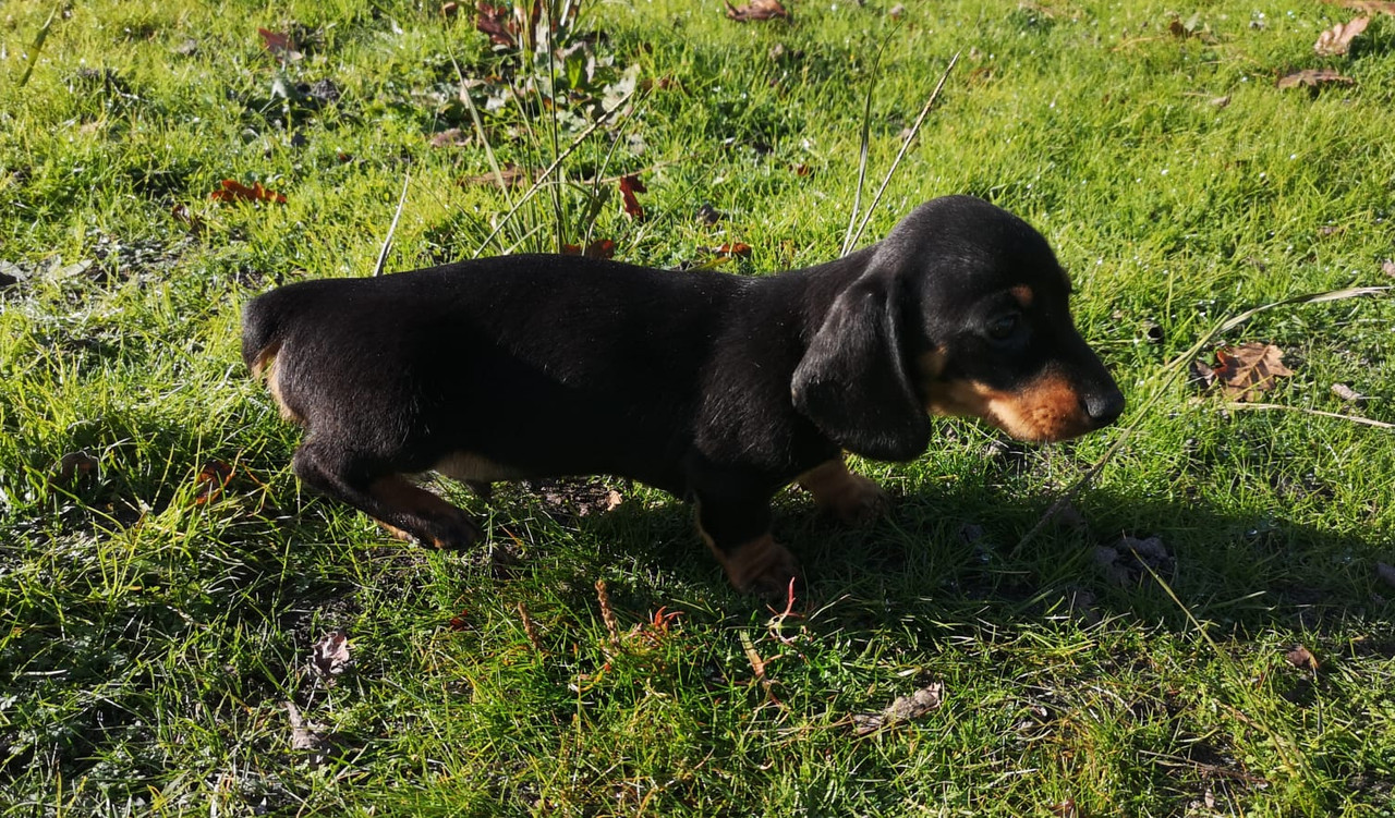 [Image: IMG-20201202-WA0001.jpg]